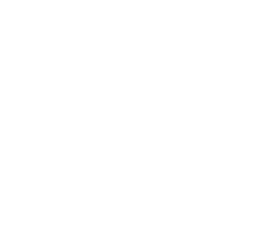 How to install WebAbility on a Squarespace website icon